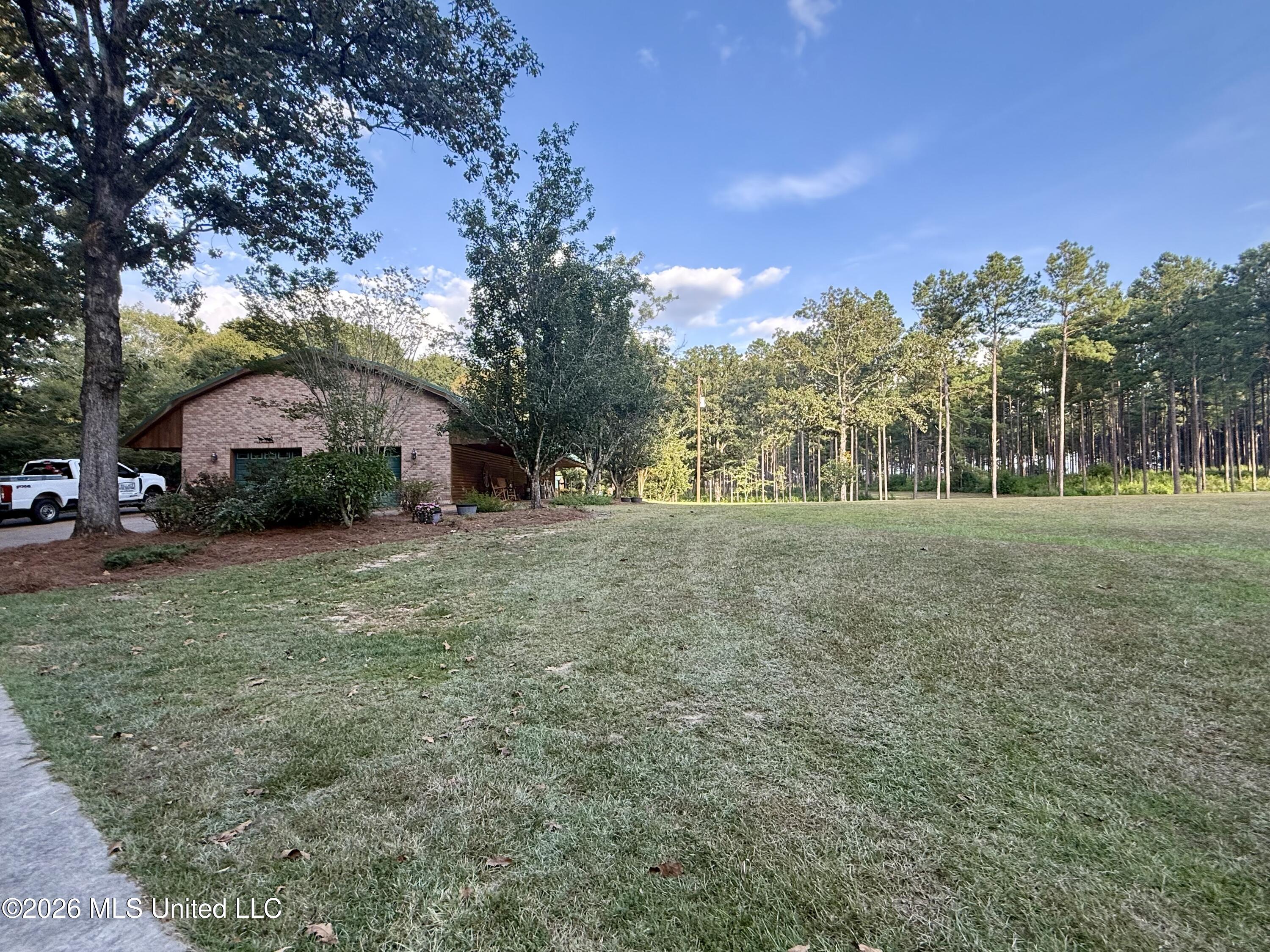 64 Greer Road Property Photo 5