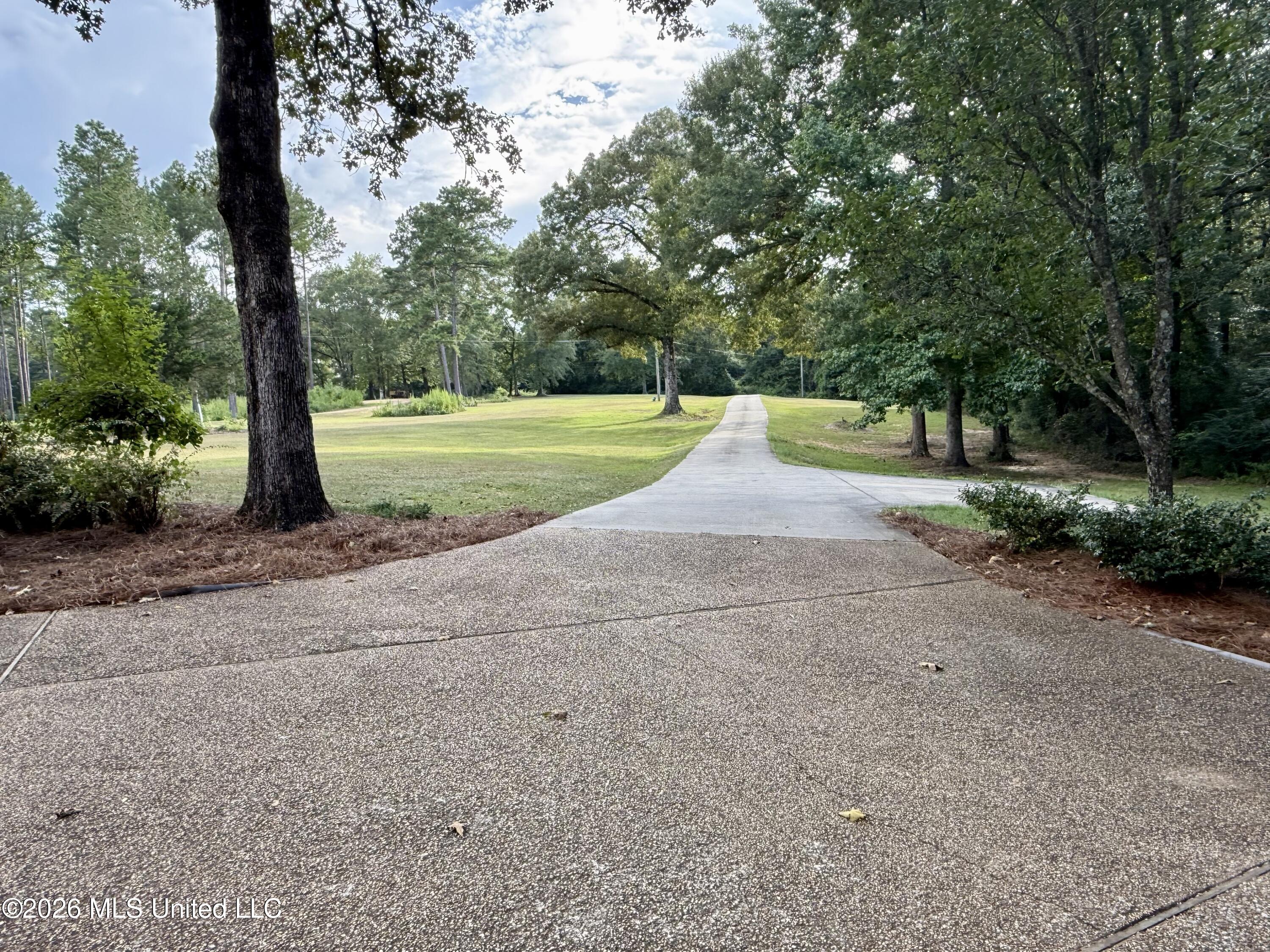 64 Greer Road Property Photo 9