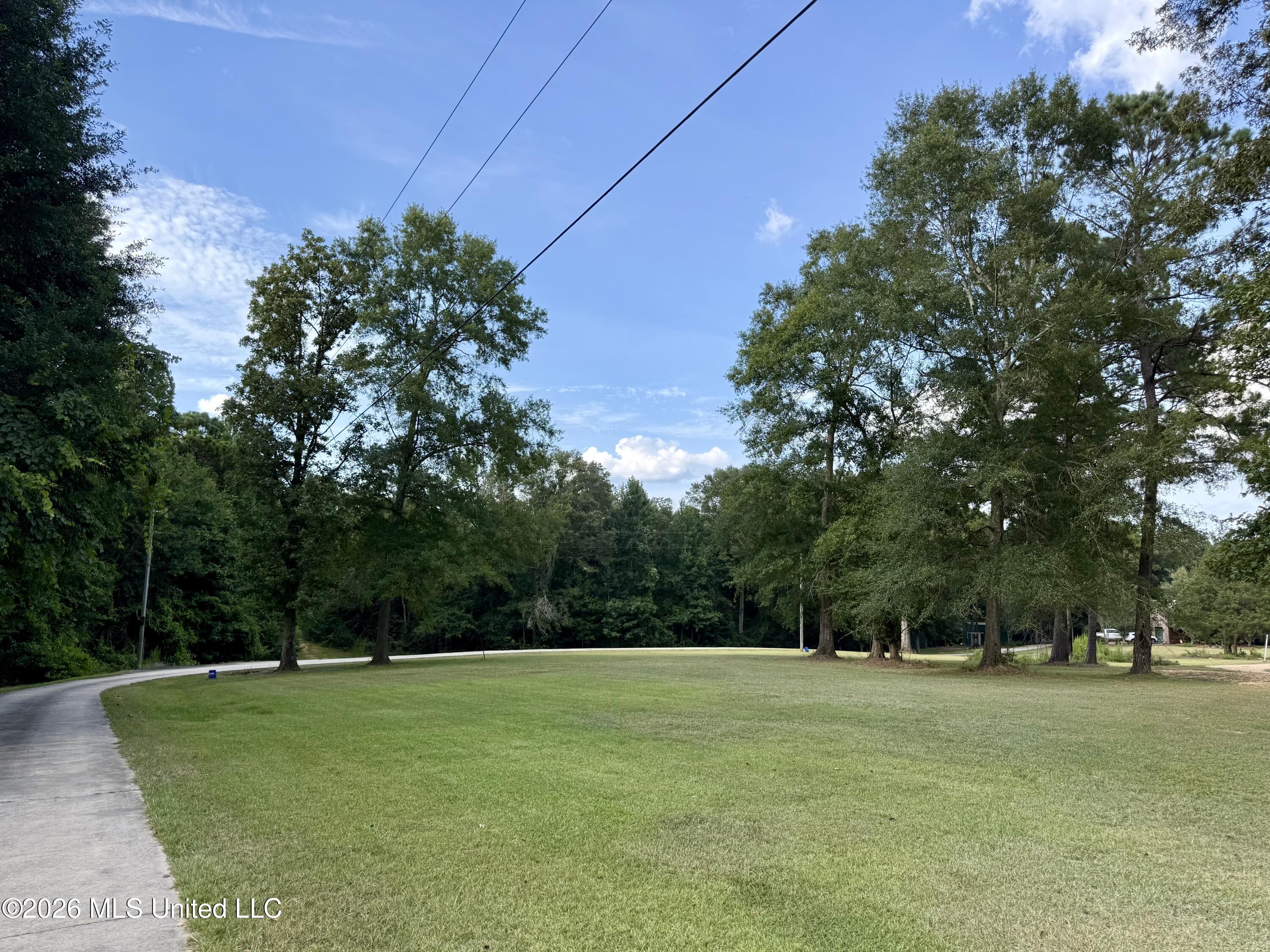 64 Greer Road Property Photo 10