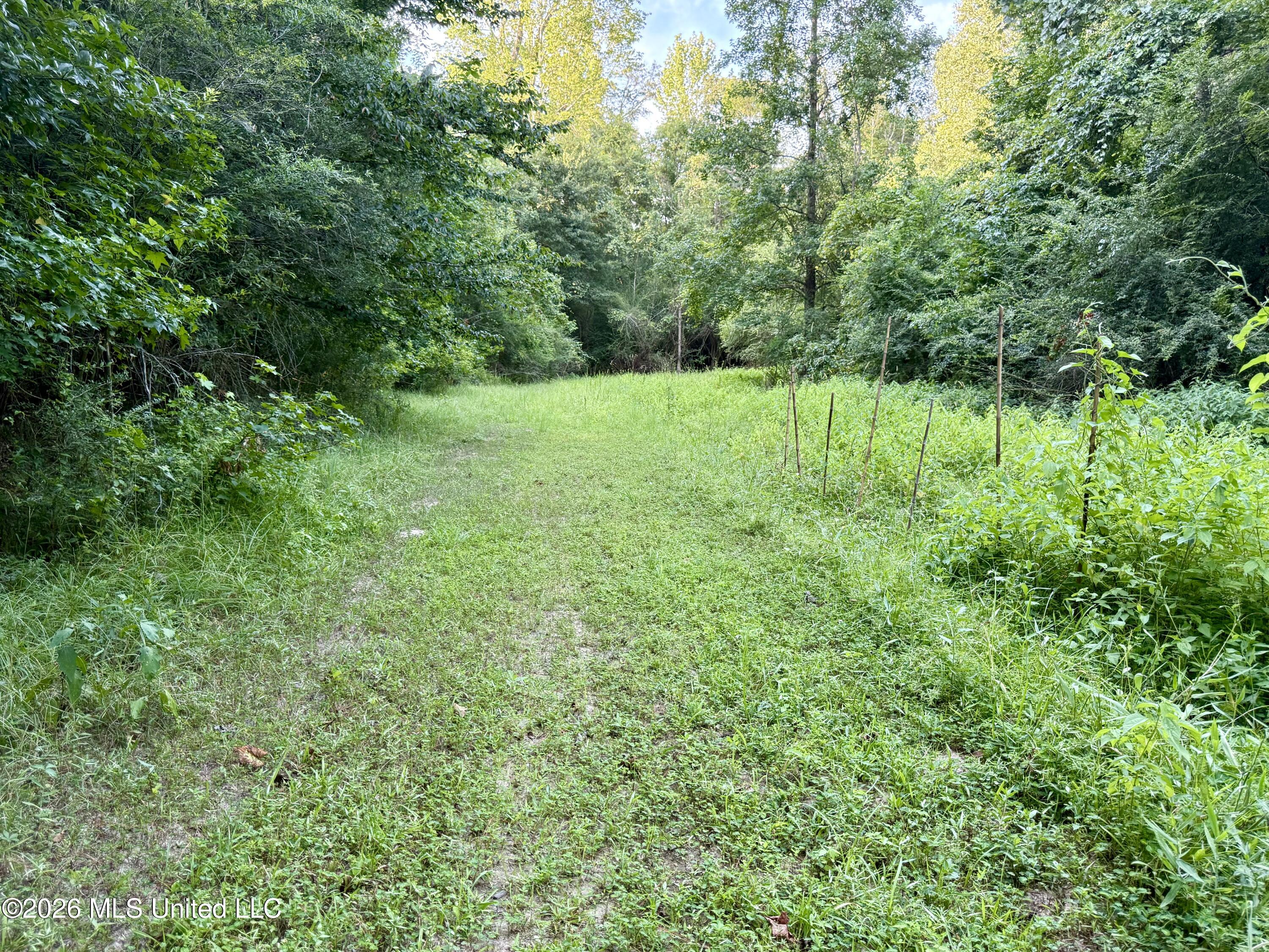 64 Greer Road Property Photo 38