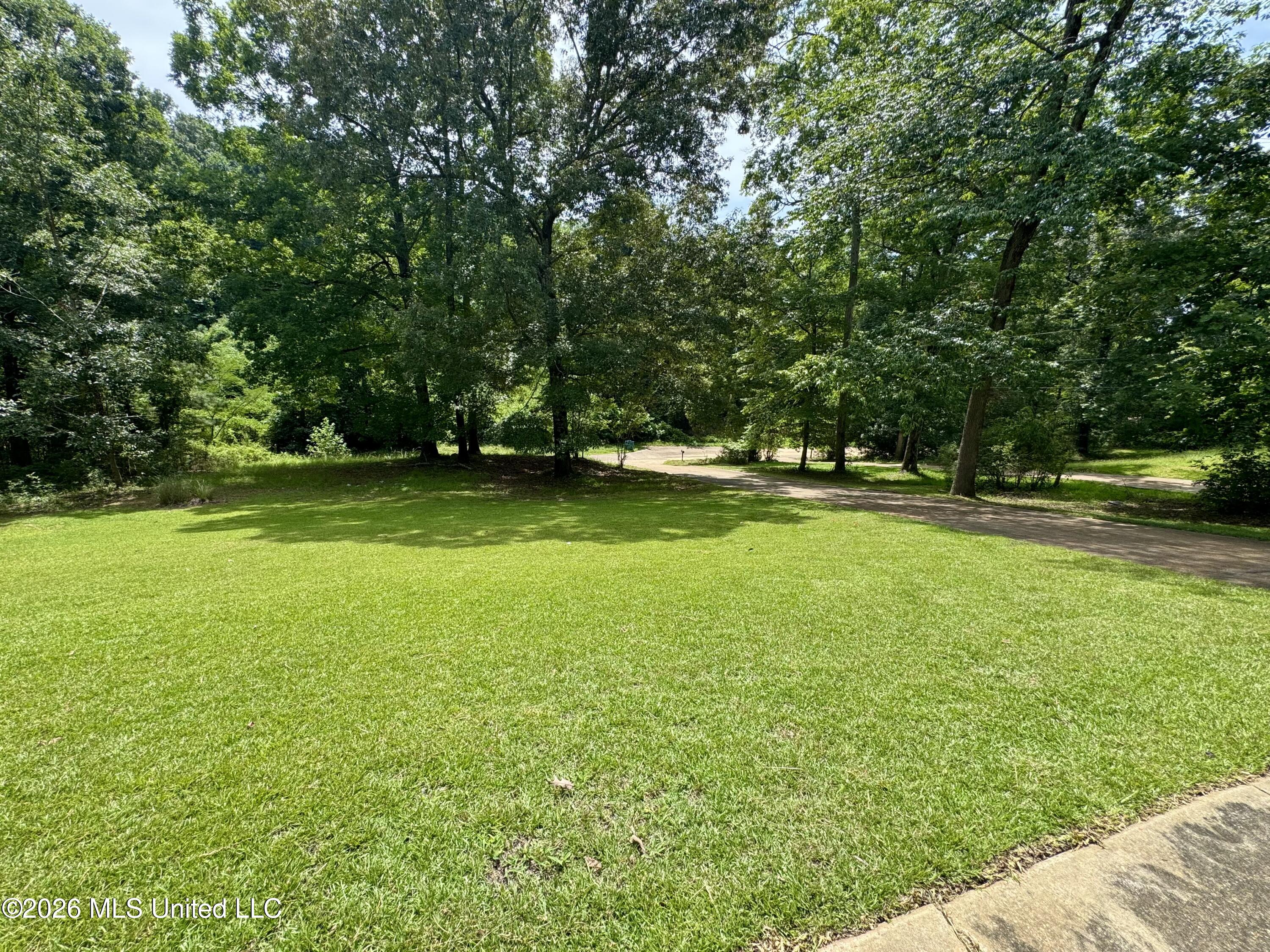 174 White Oak Drive Property Photo 21