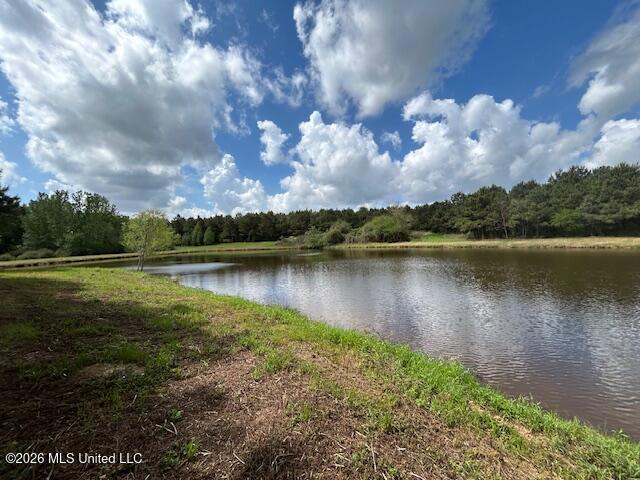 Mississippi 583 Property Photo 11