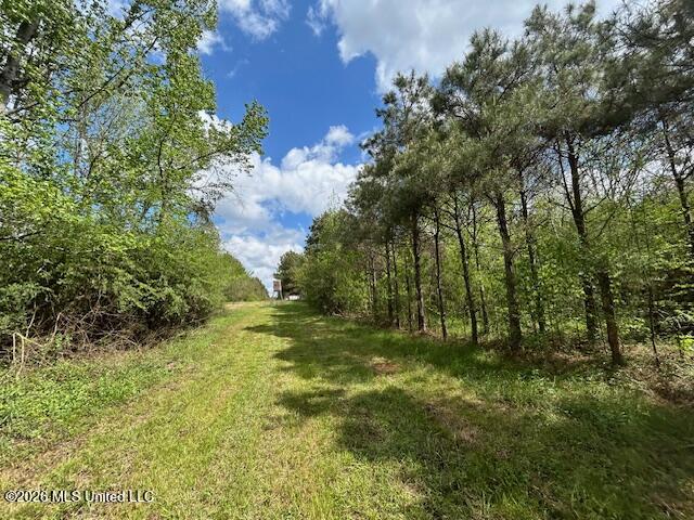 Mississippi 583 Property Photo 14
