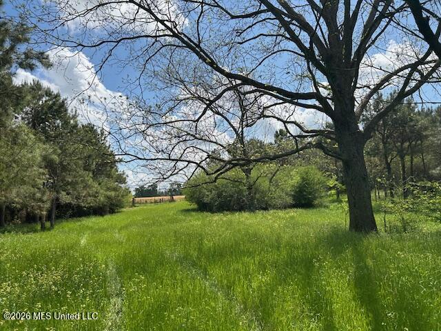 Mississippi 583 Property Photo 18