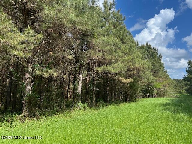 Mississippi 583 Property Photo 68
