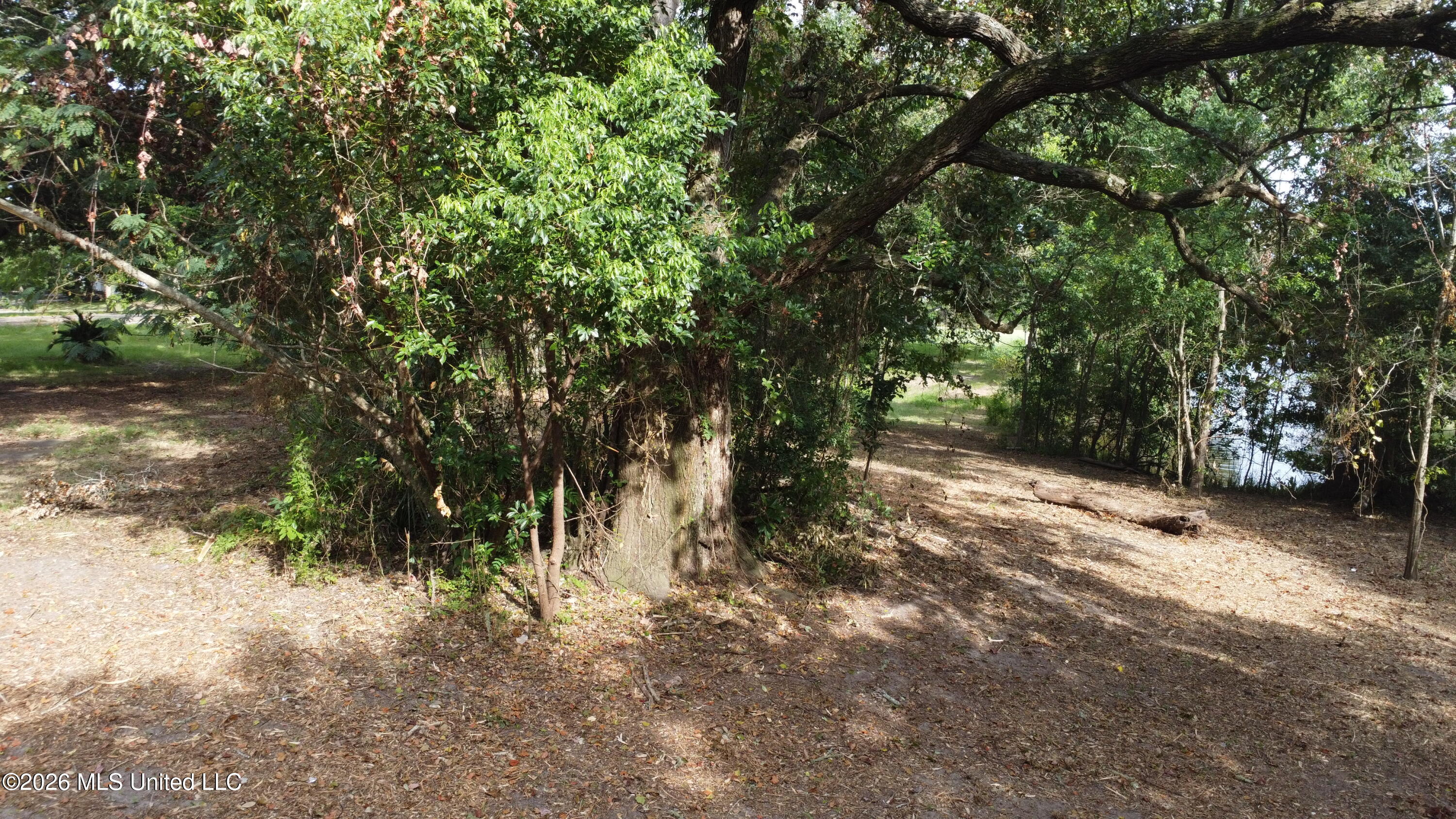 839 Graveline Road Property Photo 21