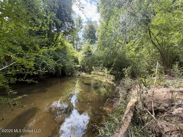 1070 Stormy Lane Property Photo 1