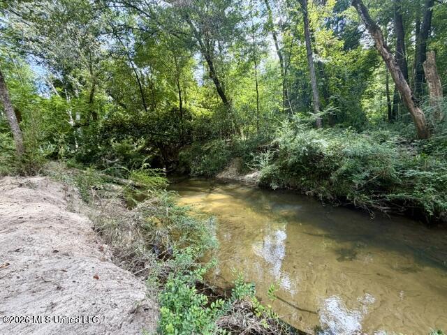 1070 Stormy Lane Property Photo 2