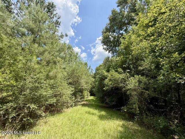 1070 Stormy Lane Property Photo 7