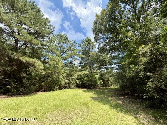 1070 Stormy Lane Property Photo 8