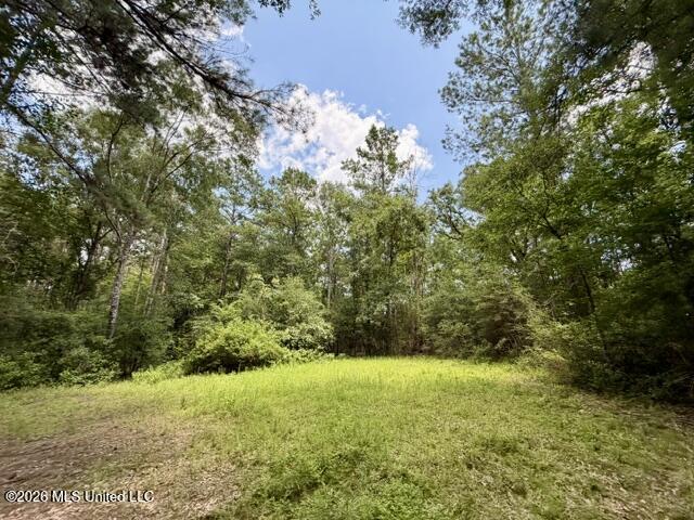 1070 Stormy Lane Property Photo 9