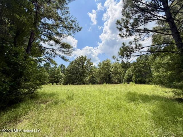 1070 Stormy Lane Property Photo 10