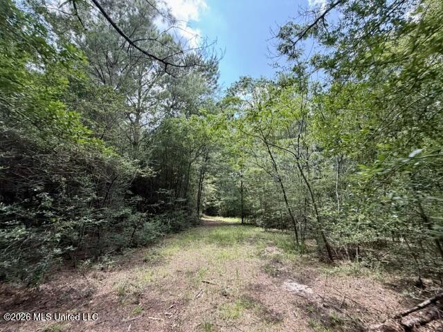 1070 Stormy Lane Property Photo 11