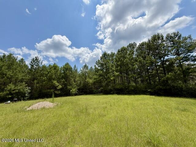1070 Stormy Lane Property Photo 12
