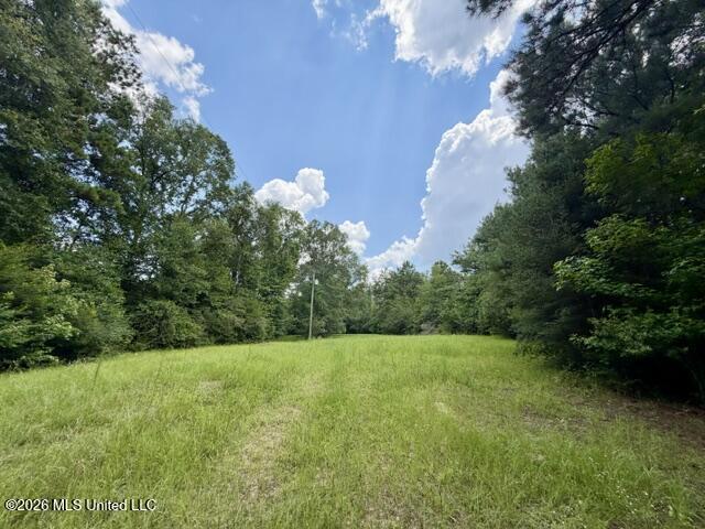 1070 Stormy Lane Property Photo 13