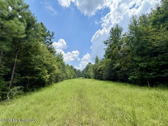 1070 Stormy Lane Property Photo 14