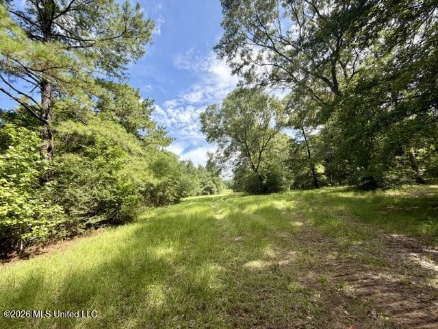 1070 Stormy Lane Property Photo 15