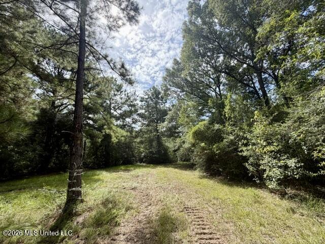 1070 Stormy Lane Property Photo 16