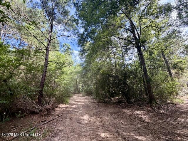 1070 Stormy Lane Property Photo 17