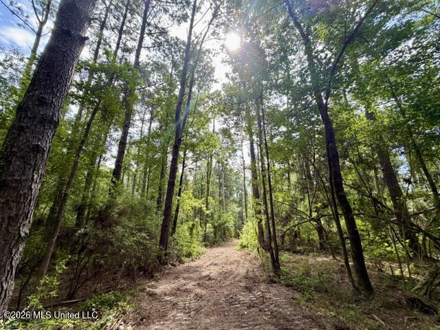 1070 Stormy Lane Property Photo 18