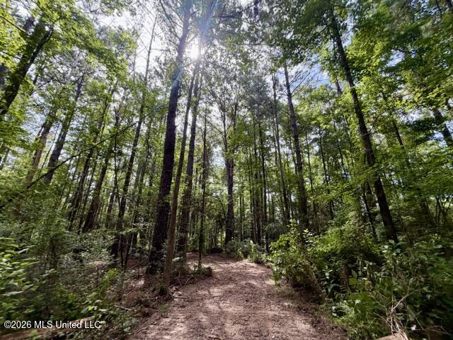 1070 Stormy Lane Property Photo 19