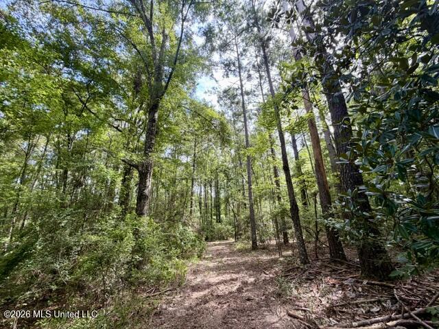 1070 Stormy Lane Property Photo 20