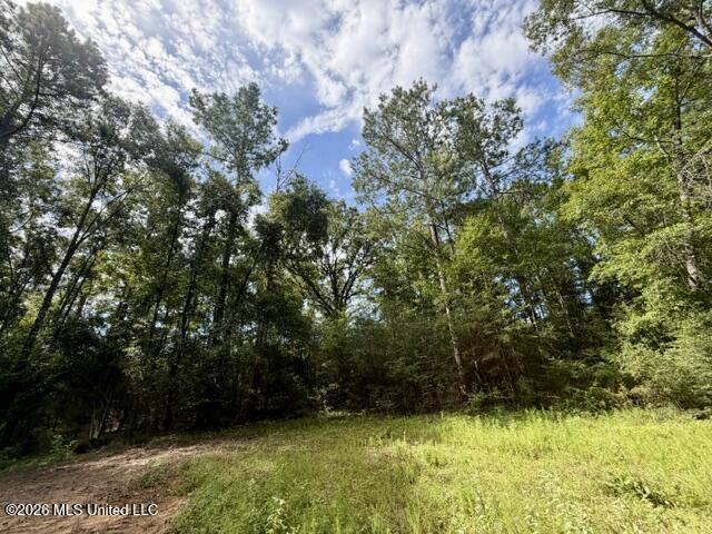 1070 Stormy Lane Property Photo 21
