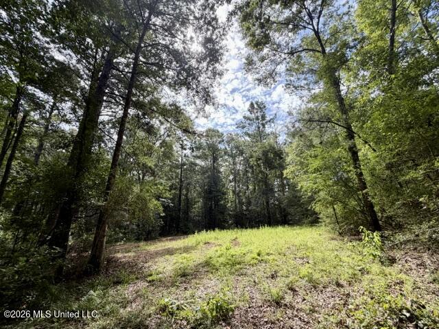 1070 Stormy Lane Property Photo 22