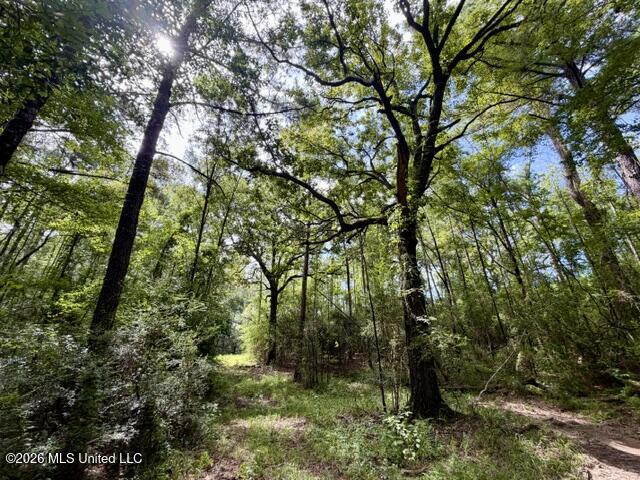 1070 Stormy Lane Property Photo 23