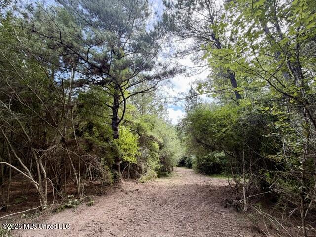 1070 Stormy Lane Property Photo 25