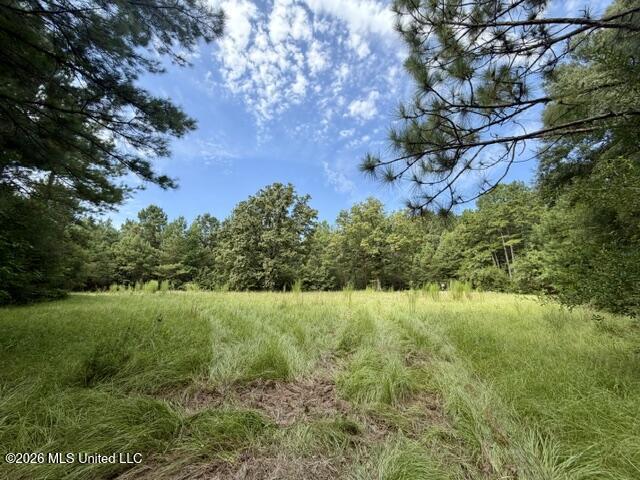 1070 Stormy Lane Property Photo 26