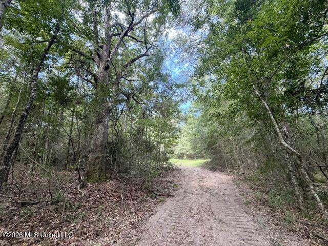 1070 Stormy Lane Property Photo 27