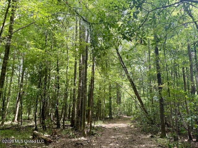 1070 Stormy Lane Property Photo 28