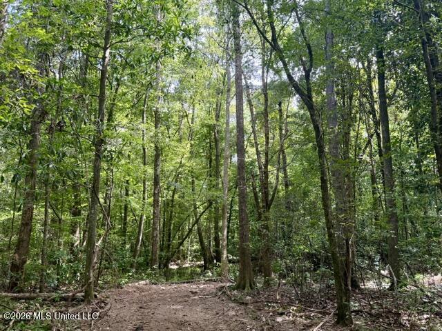 1070 Stormy Lane Property Photo 29