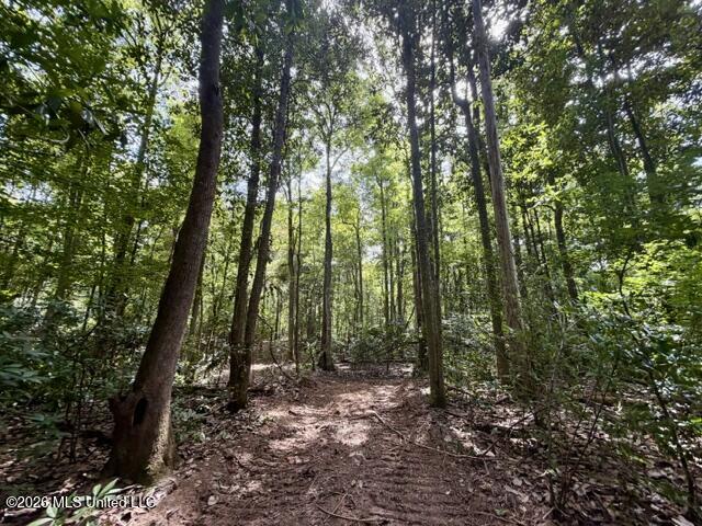 1070 Stormy Lane Property Photo 30