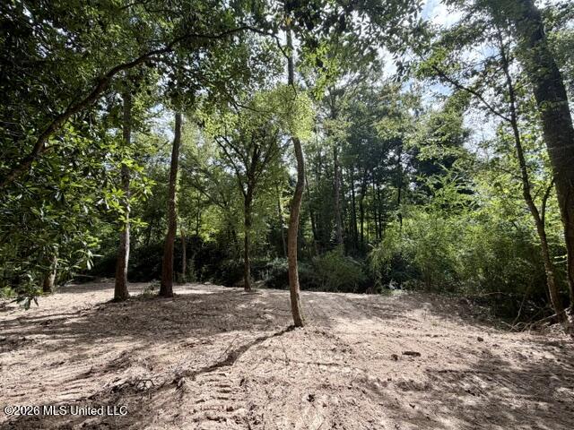 1070 Stormy Lane Property Photo 31