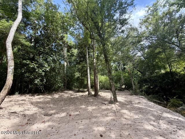 1070 Stormy Lane Property Photo 32