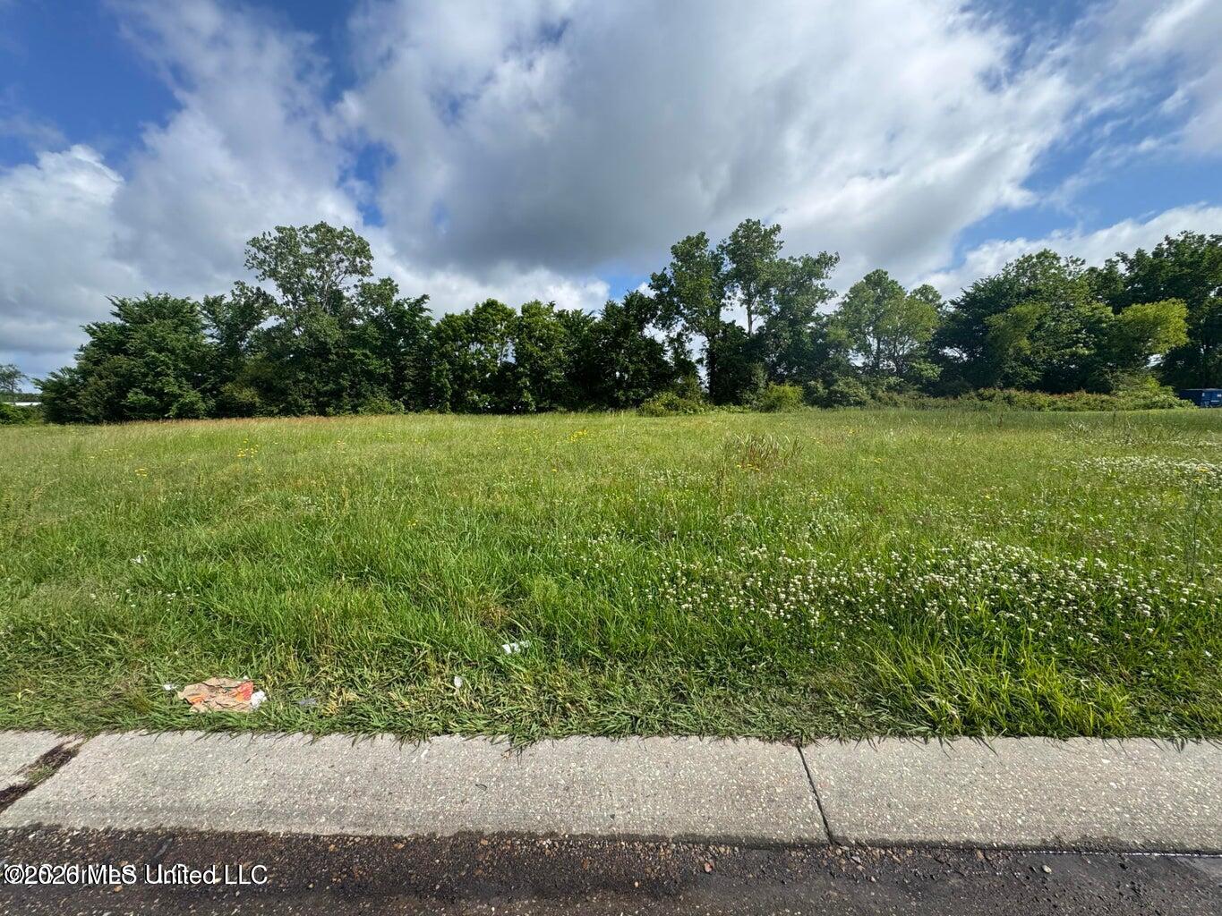 Dancy Boulevard Property Photo 1