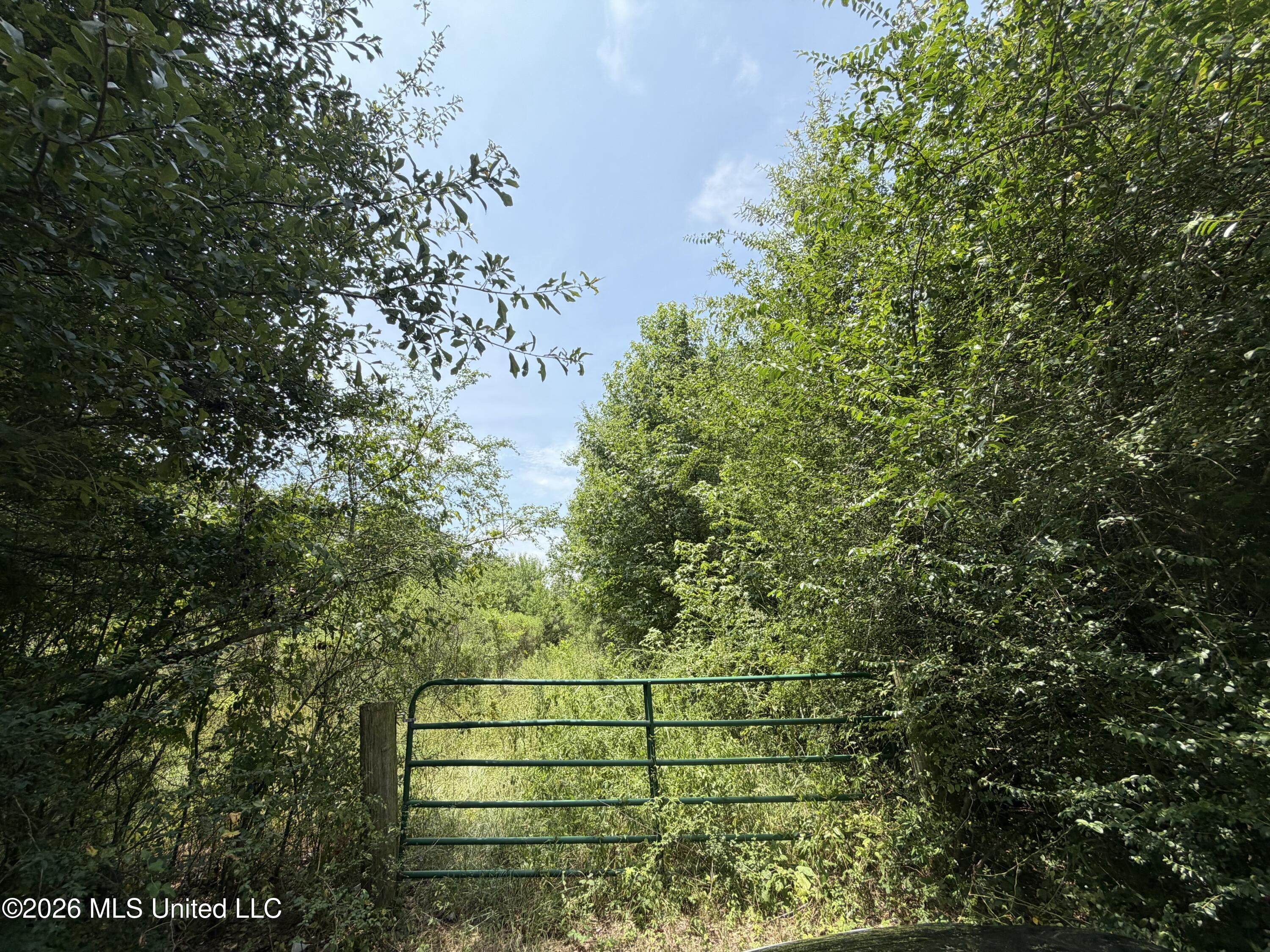 Old Jackson Road Property Photo 2