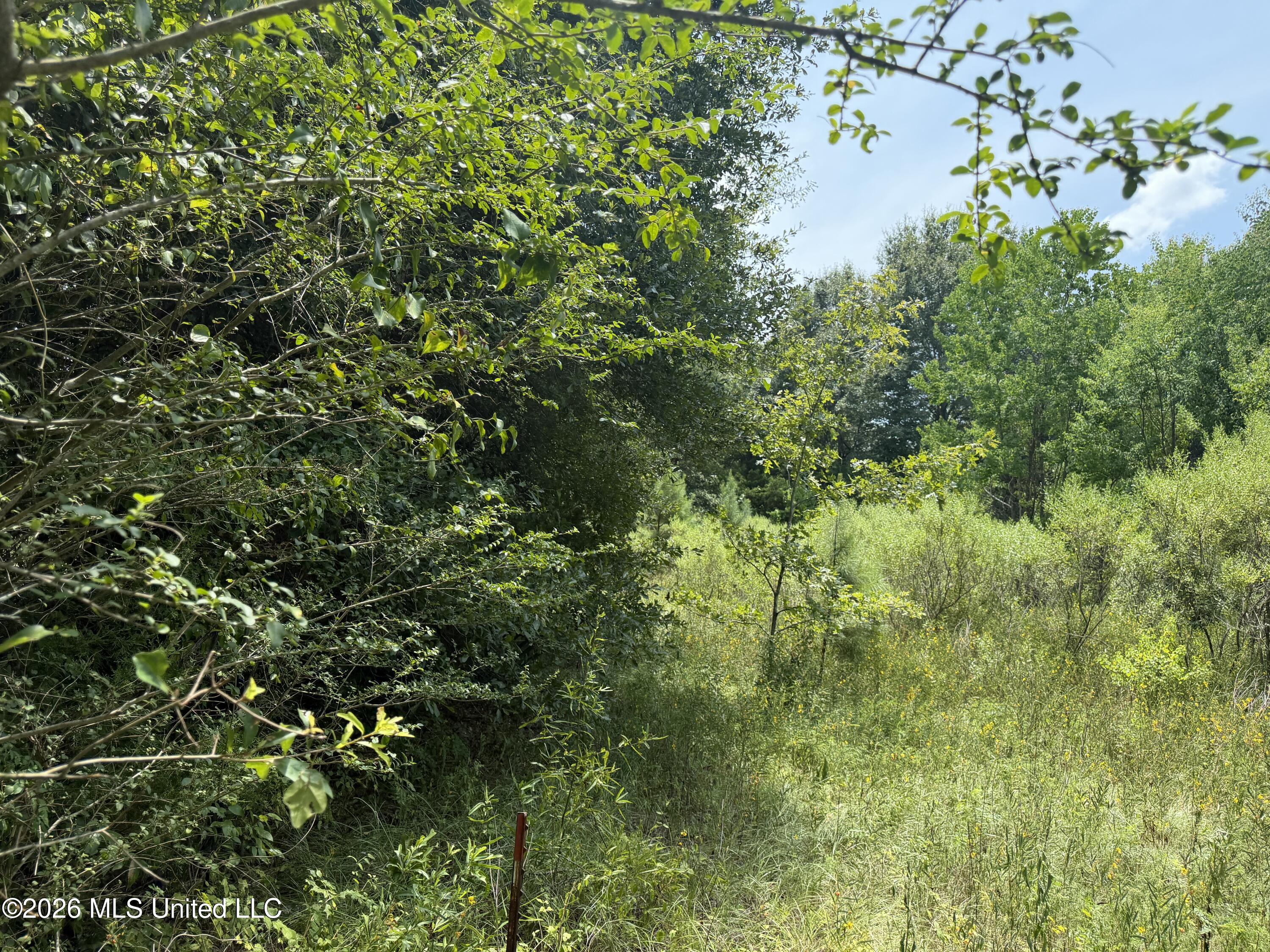Old Jackson Road Property Photo 3