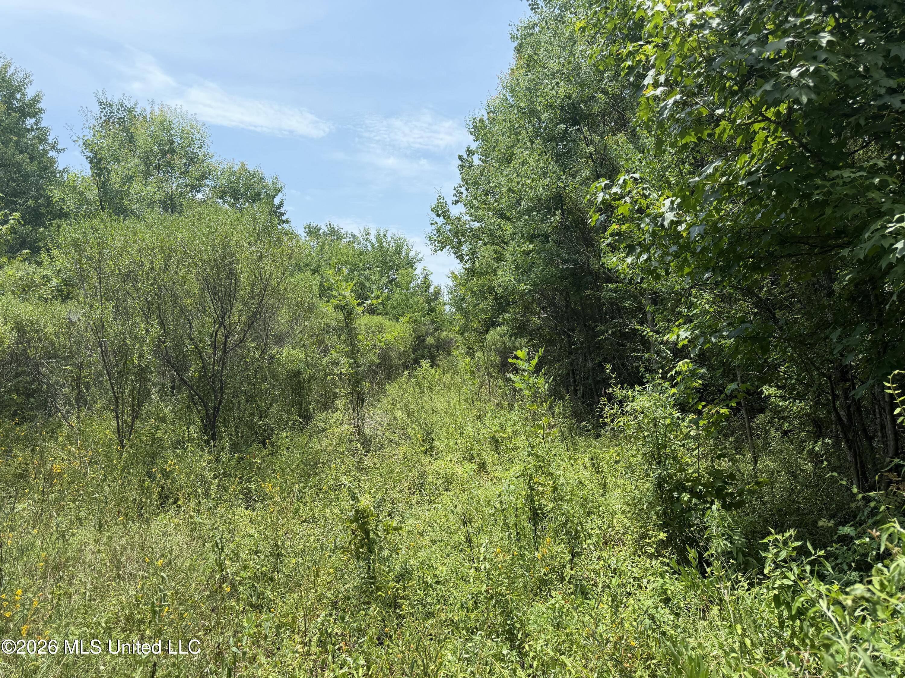 Old Jackson Road Property Photo 4