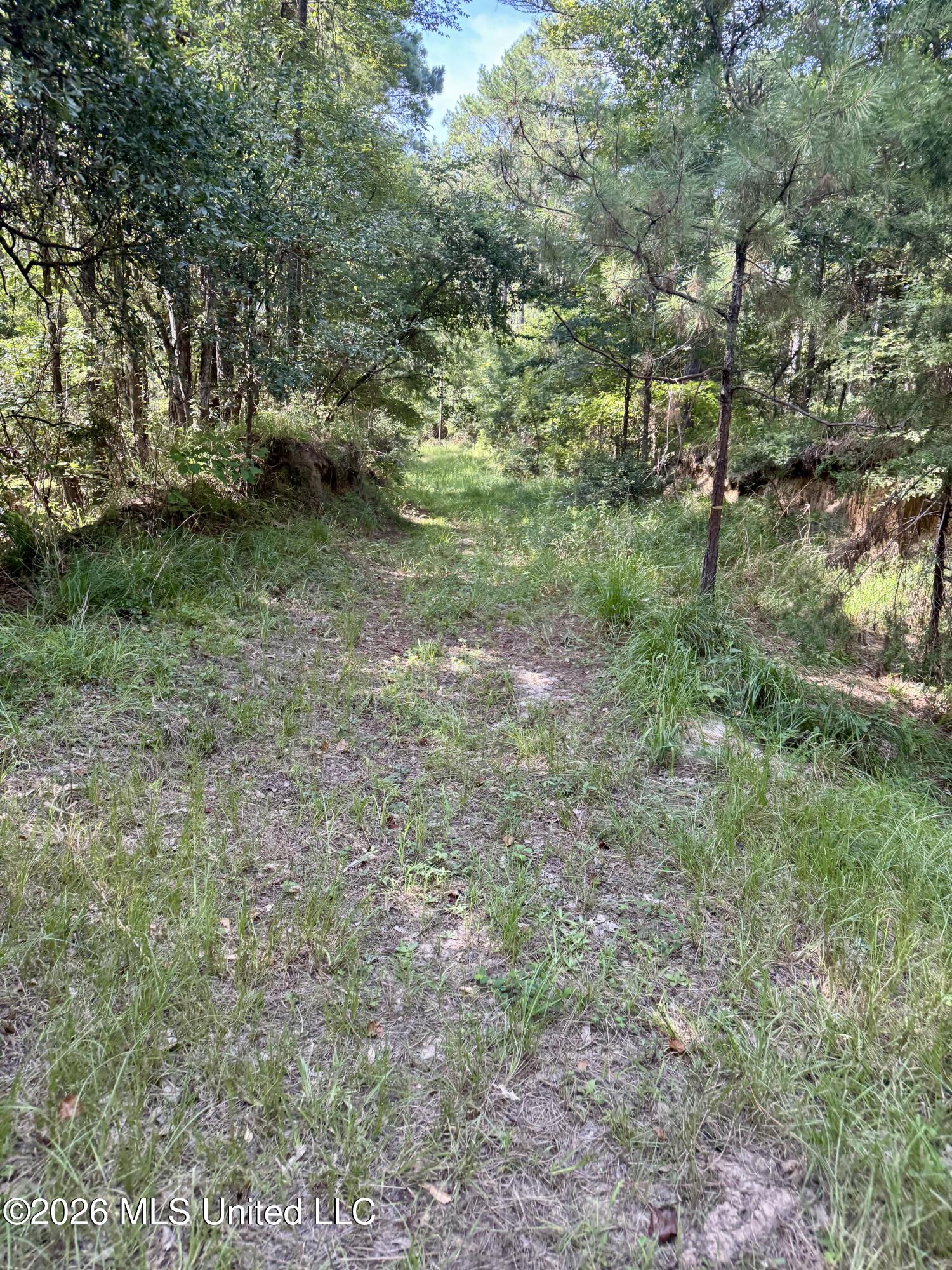 Vine Hollow Property Photo 2