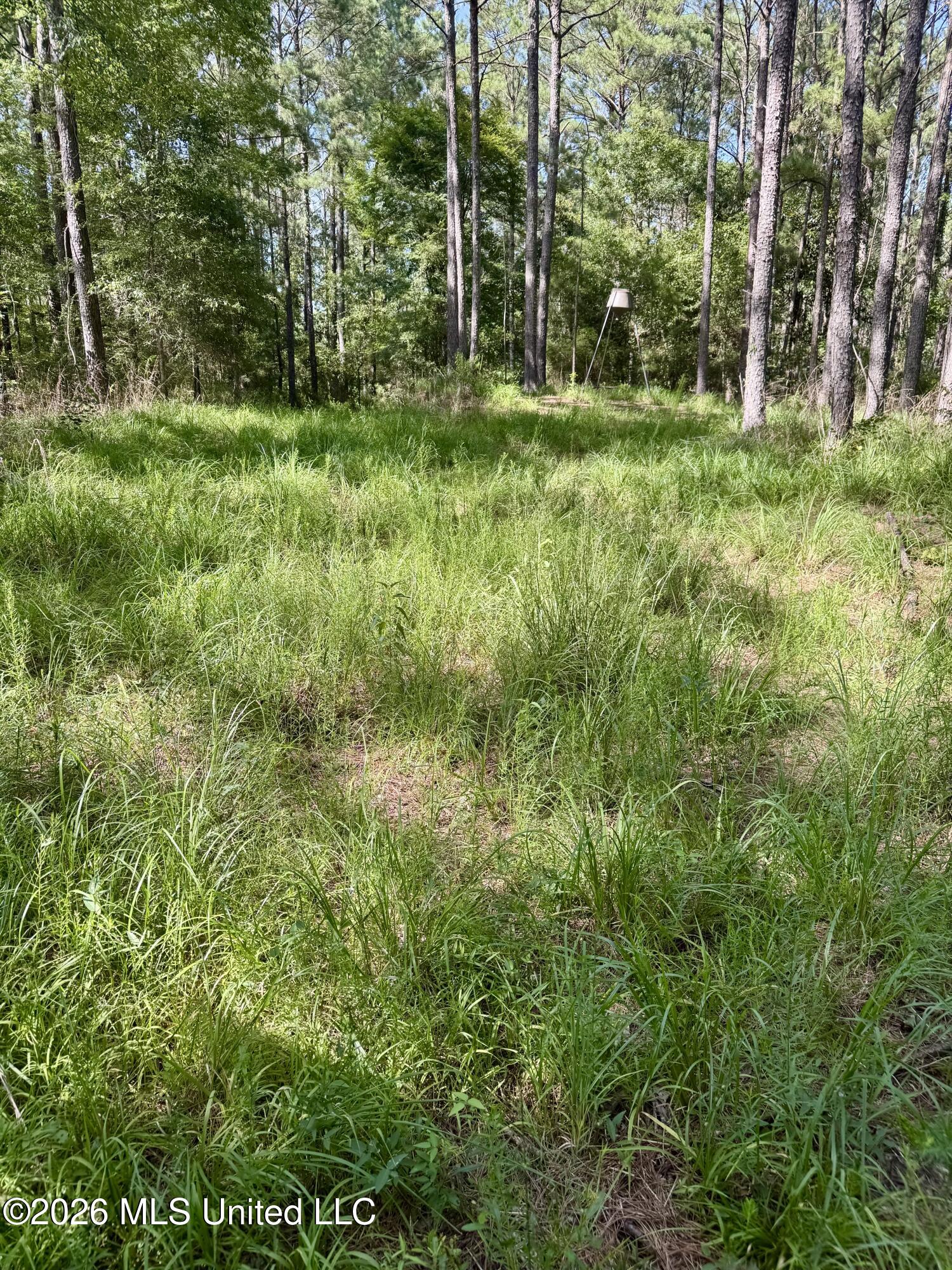 Vine Hollow Property Photo 3