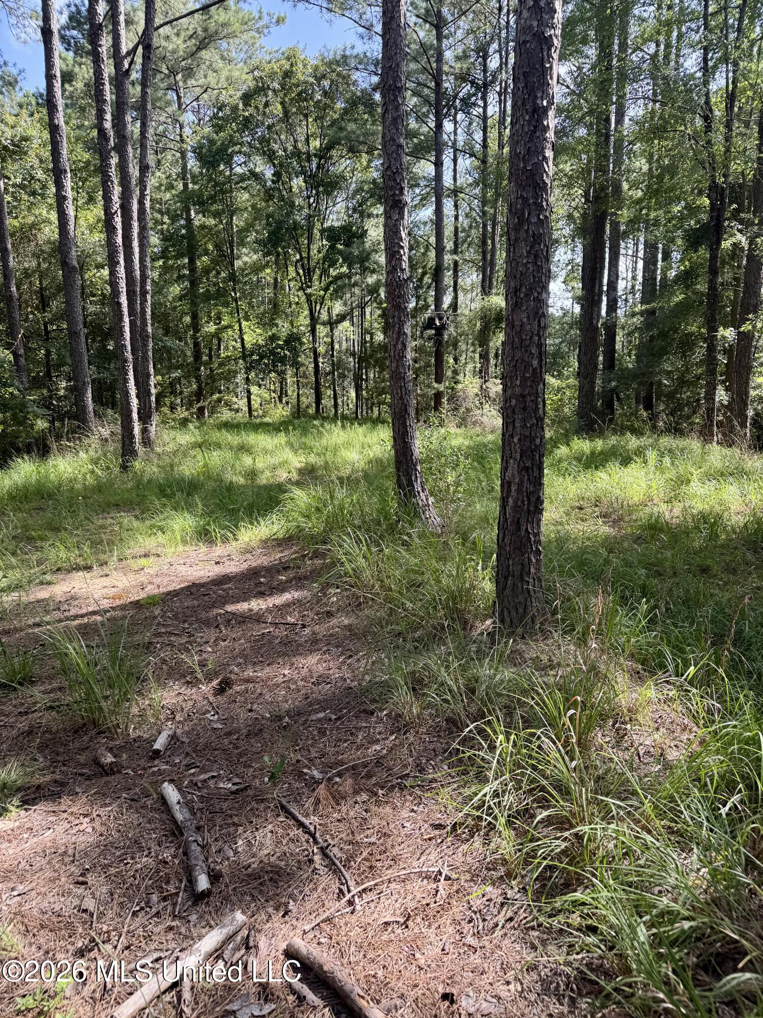 Vine Hollow Property Photo 4