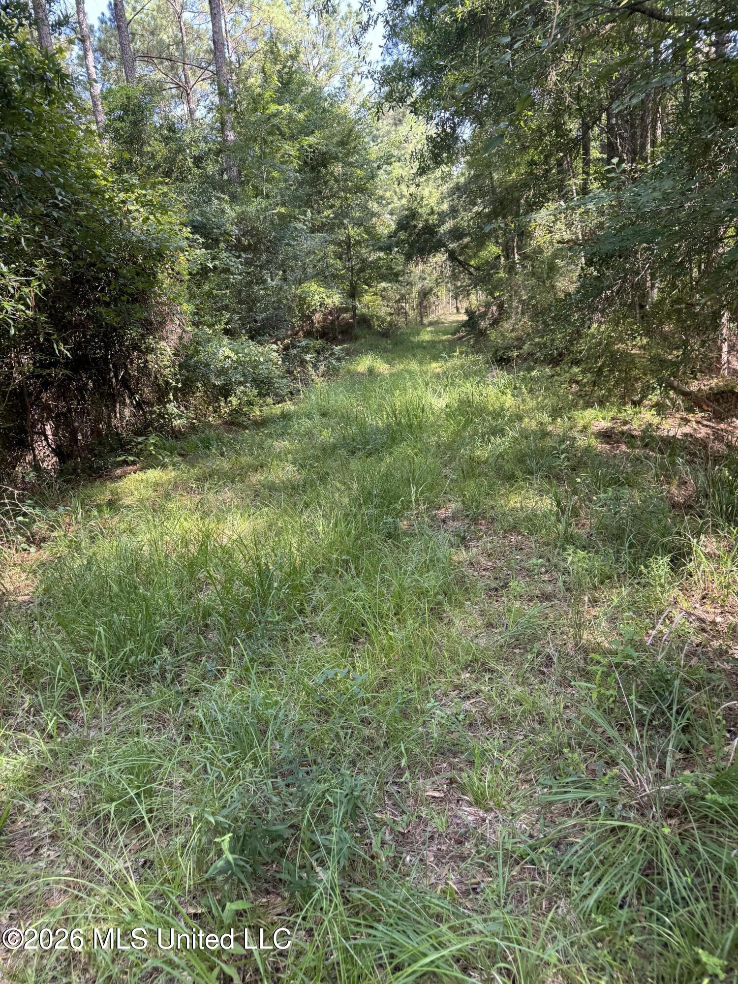 Vine Hollow Property Photo 5