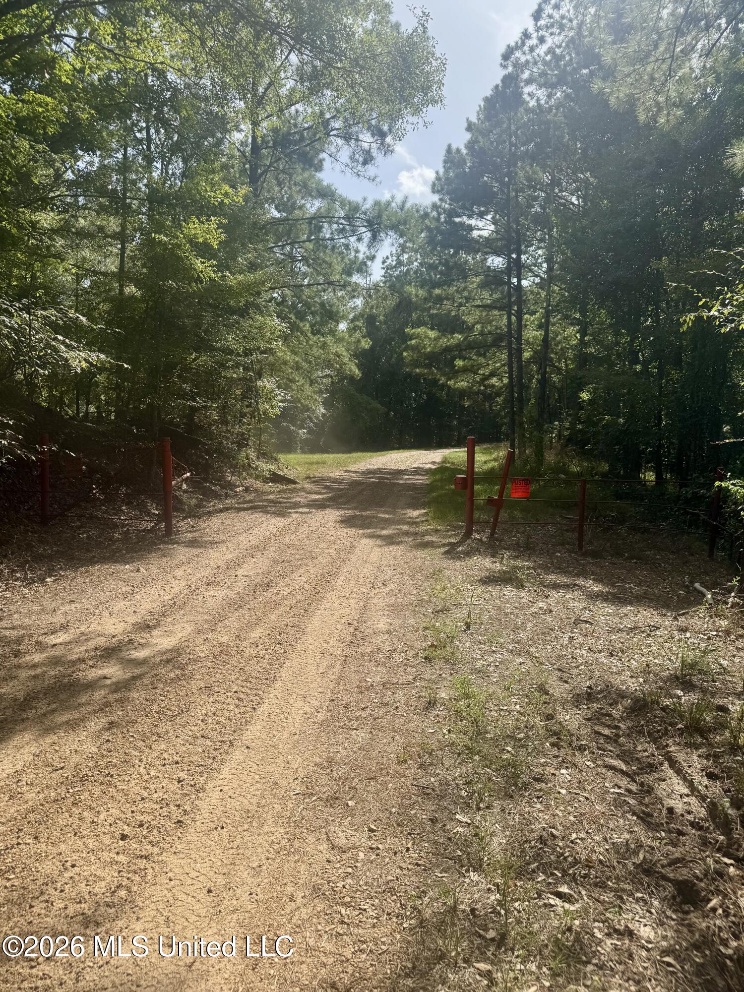 Vine Hollow Property Photo 8