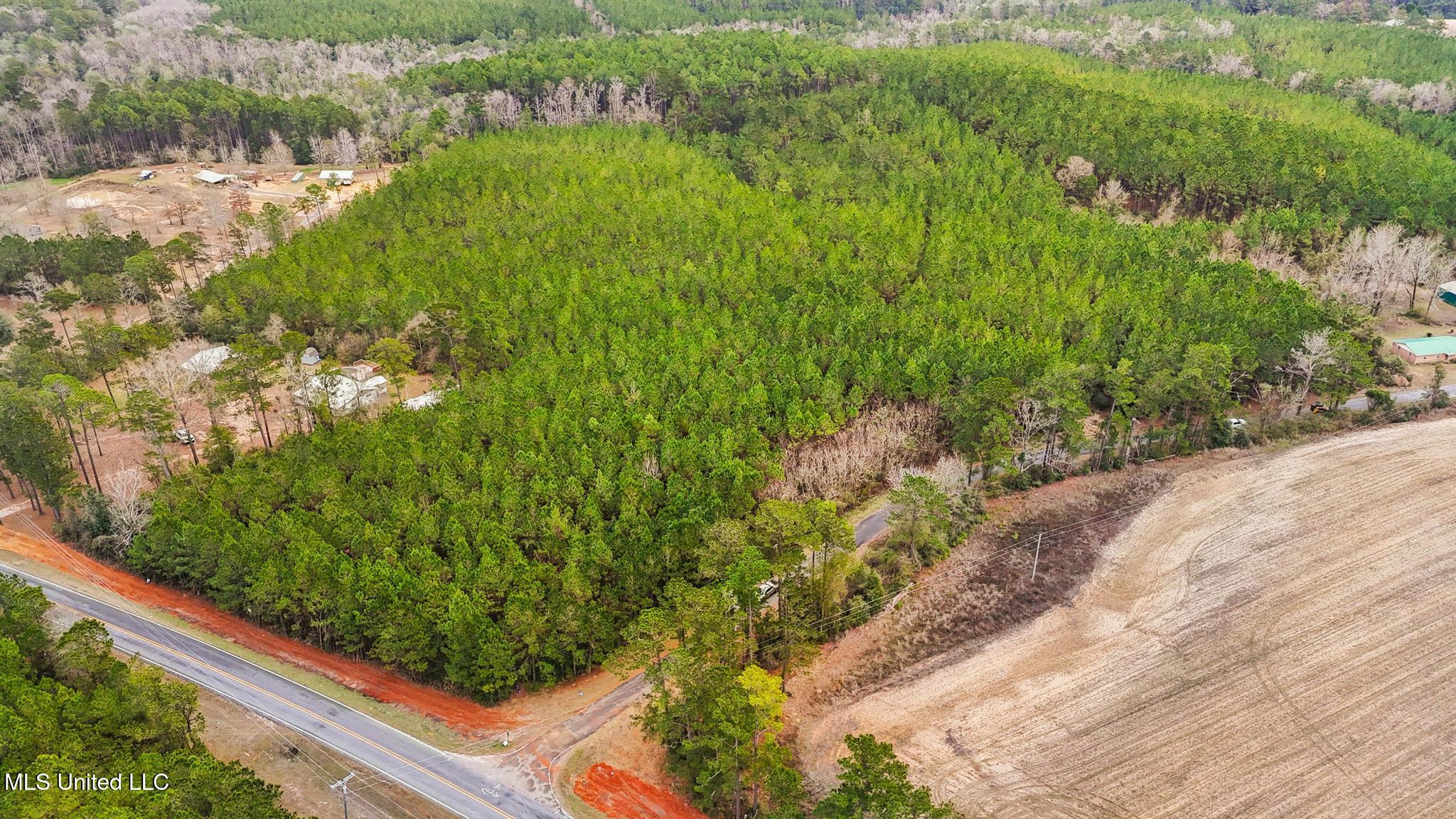 89ac Old Hwy 63n & Fork Rd Property Photo 2
