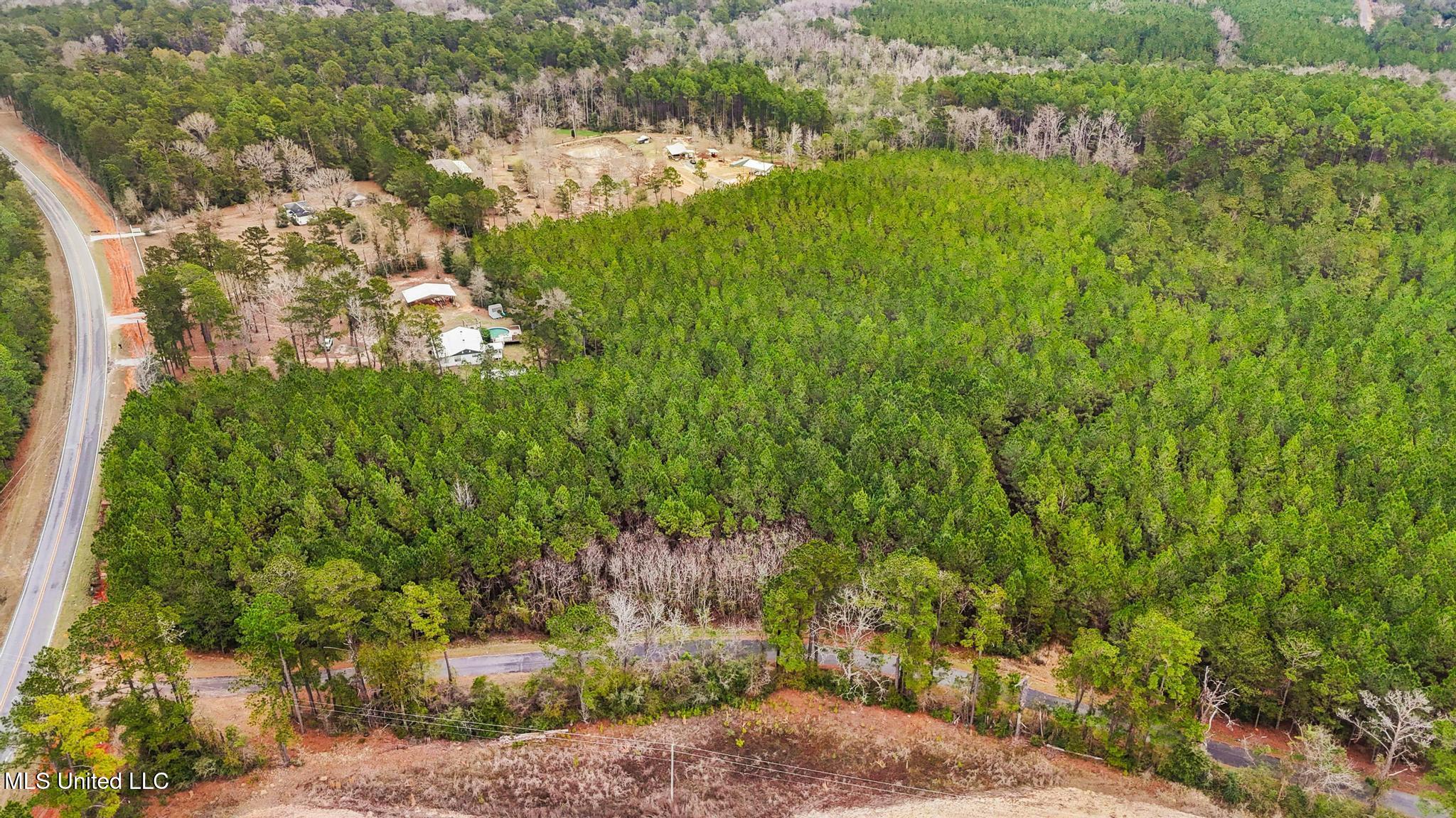 89ac Old Hwy 63n & Fork Rd Property Photo 3