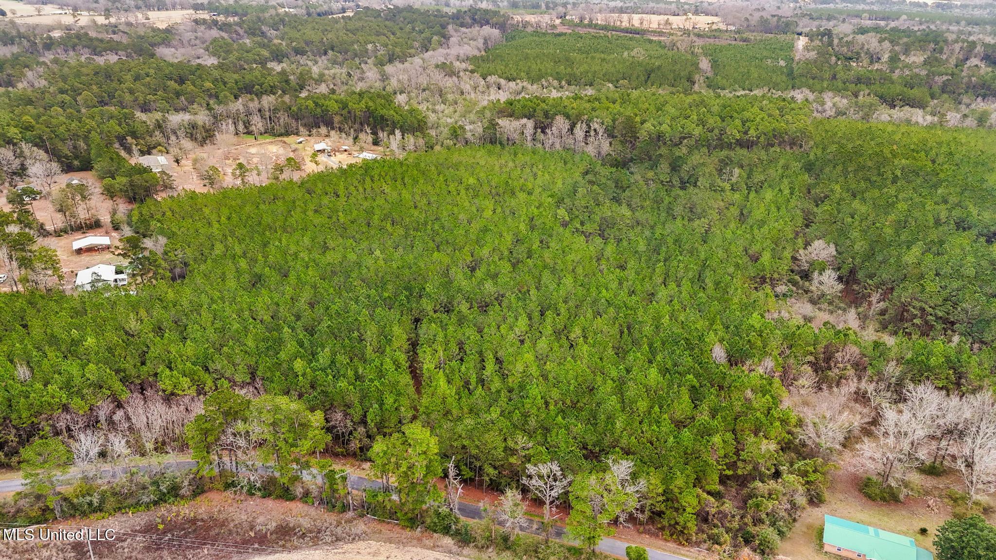 89ac Old Hwy 63n & Fork Rd Property Photo 4