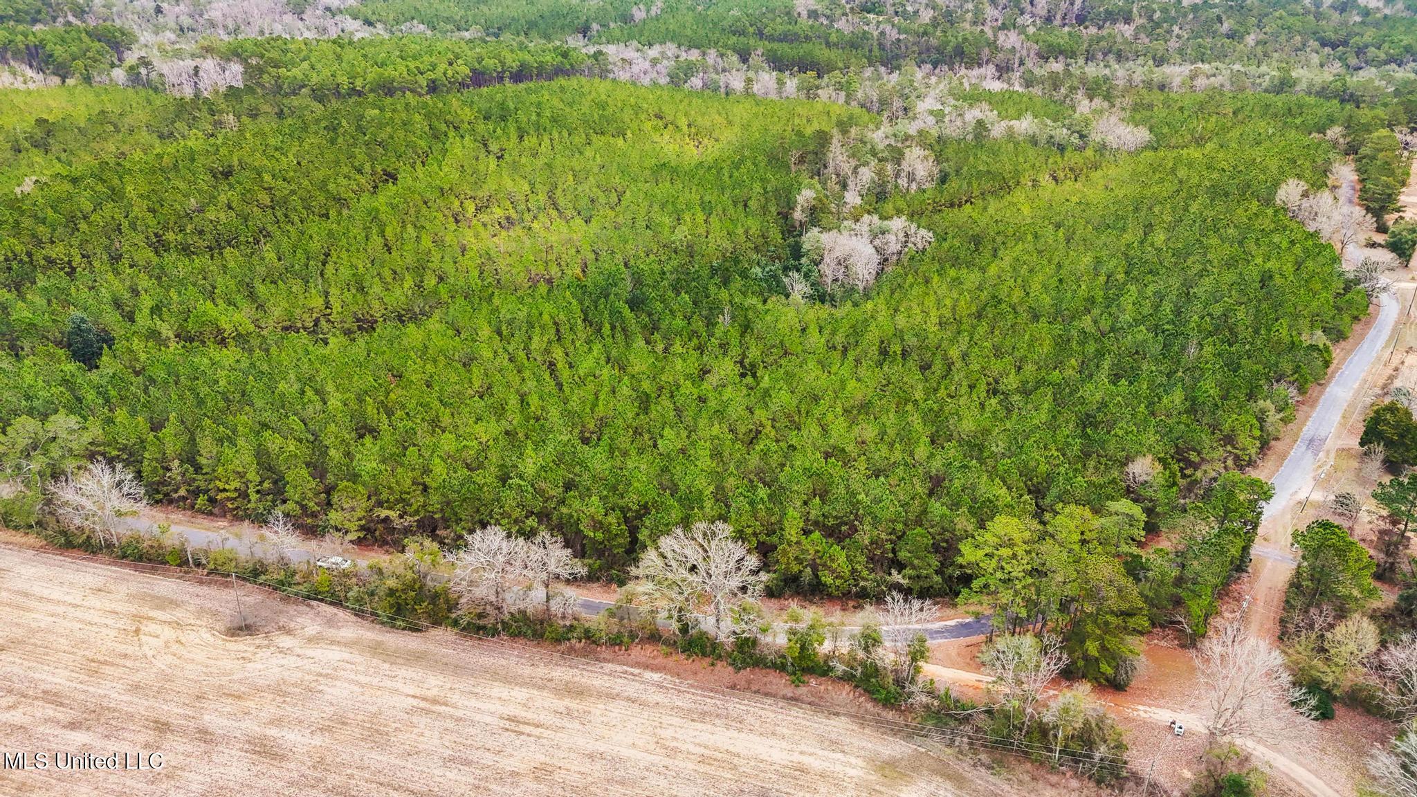 89ac Old Hwy 63n & Fork Rd Property Photo 6